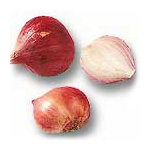 HOM DAENG (Shallot - Allium ascalonicum)