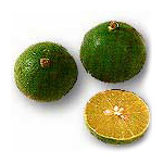 MANAO (Lime)