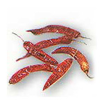 PHRIK HAENG (Dried Chilli)